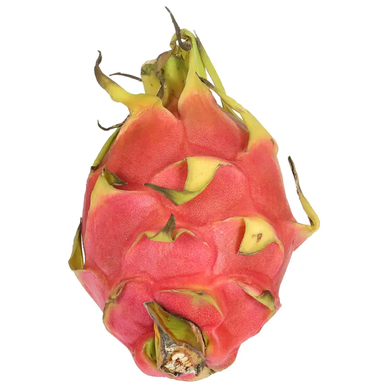 Dragon Fruit