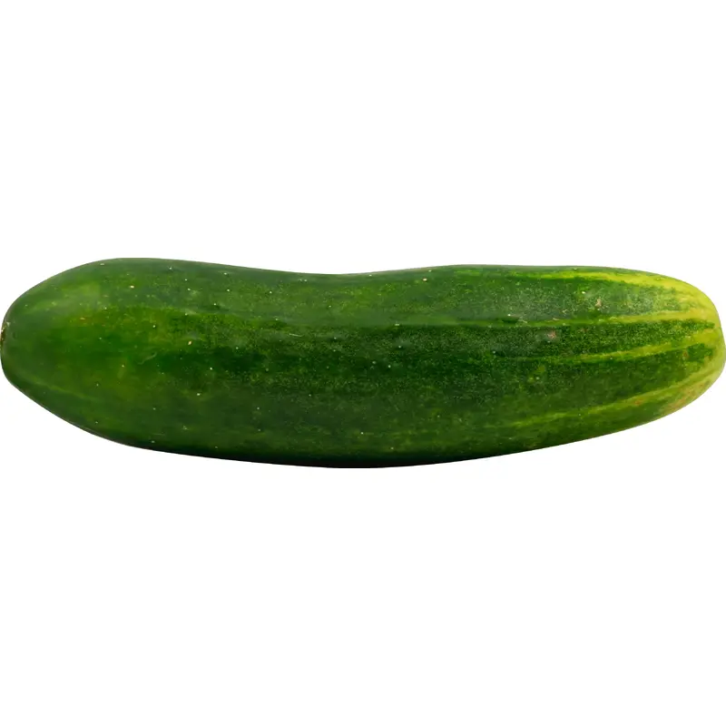 Cucumber