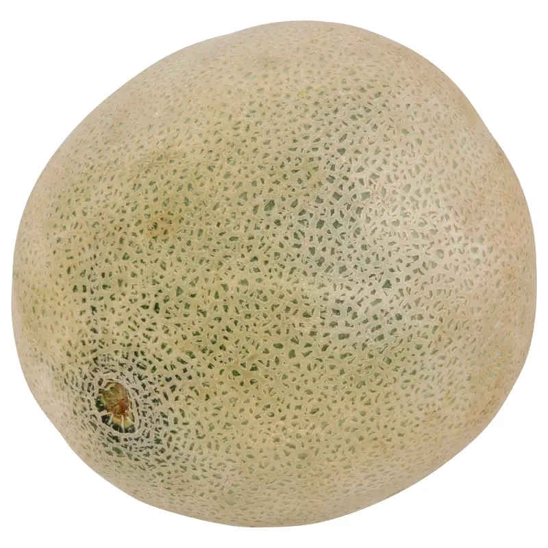 Cantaloupe - Large