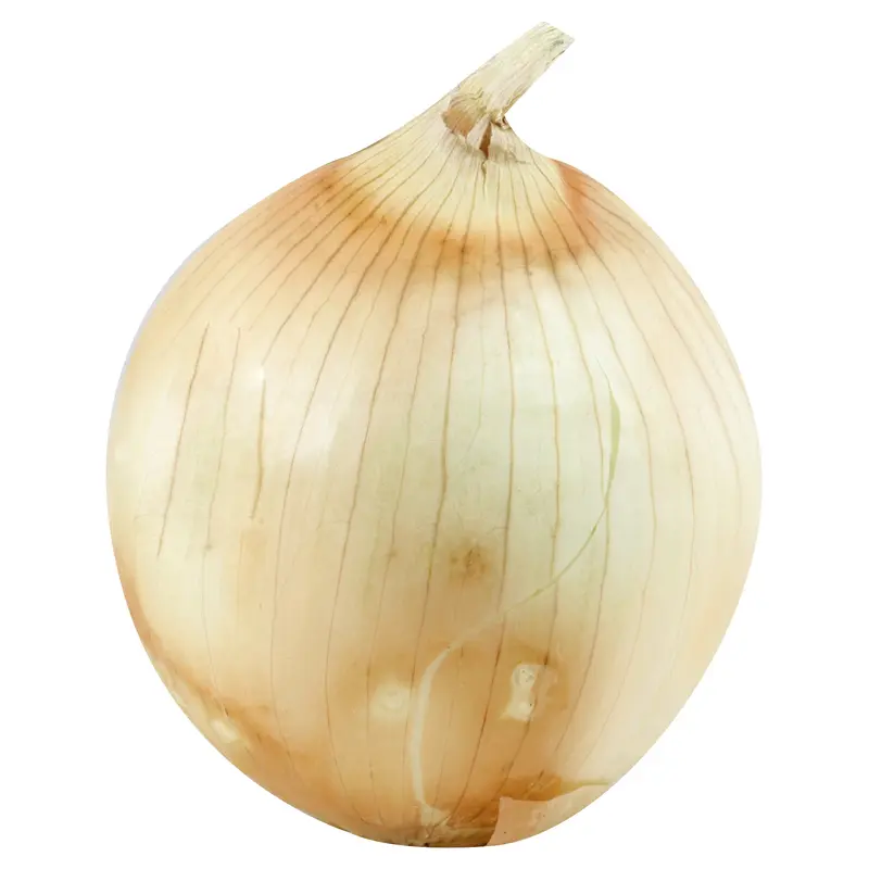 Vidalia Onions