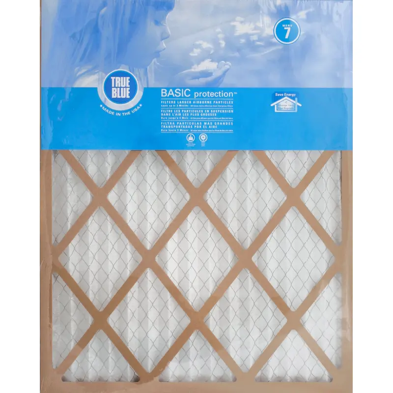 TrueBlue TRUE BLUE BASIC FILTER 20X25X1 1 CT