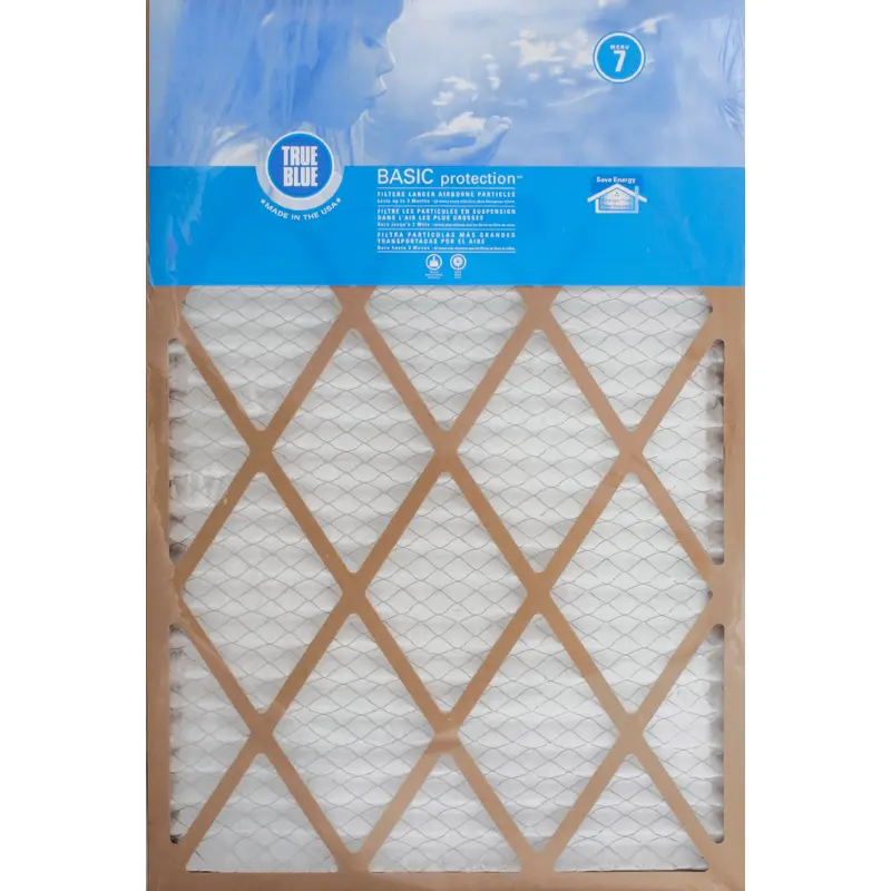 TrueBlue TRUE BLUE BASIC FILTER 20X30X1 1 CT