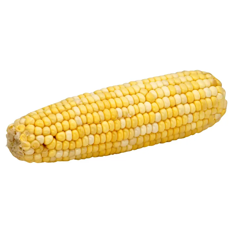 Bi-Color Corn