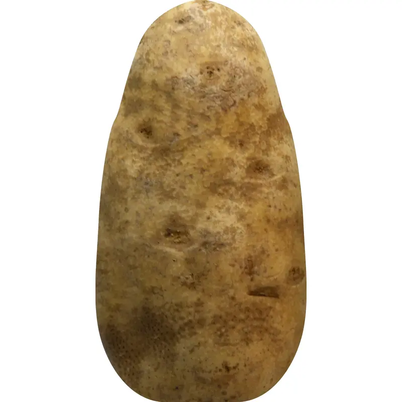 Russet Potato - 8LB