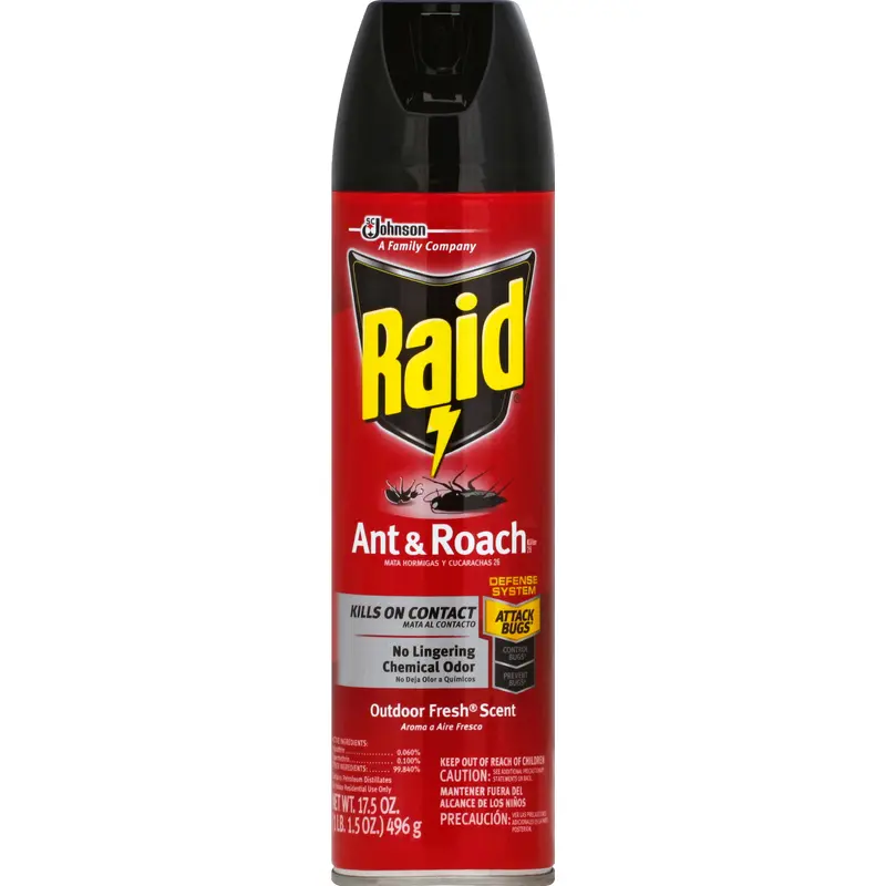 Raid Ant & Roach Killer 17.5 oz