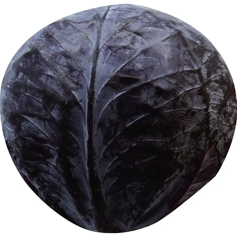 Red Cabbage