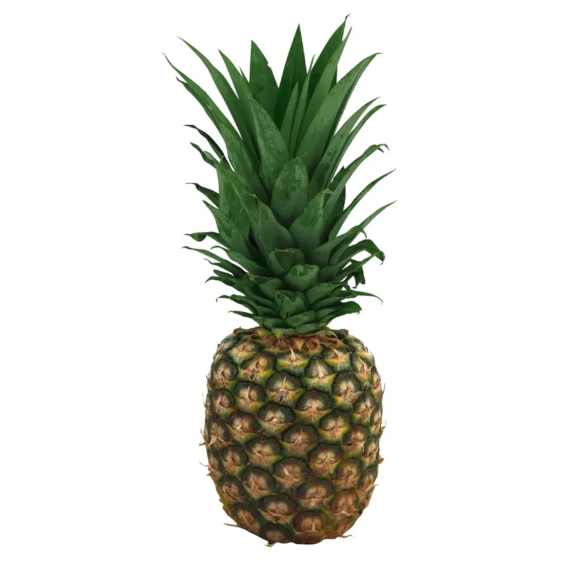 Pineapple - Small