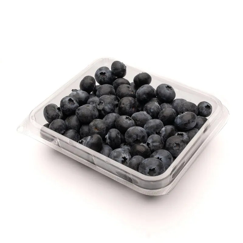 Organic Blueberries - Pint