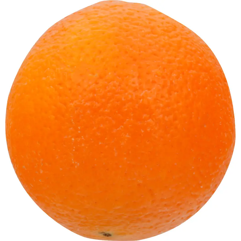 Navel Orange - Medium