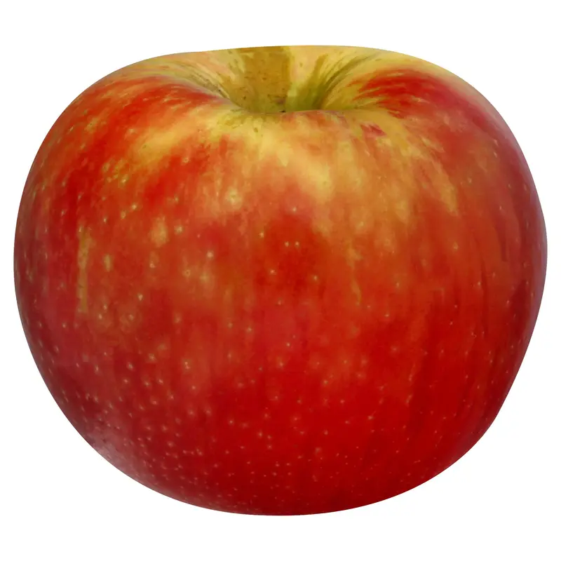 Honeycrisp Apple