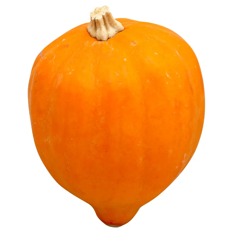 Acorn/Table Queen Squash