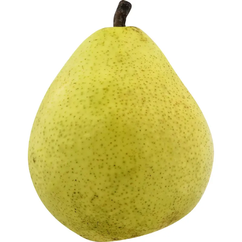 Anjou Pear - Large