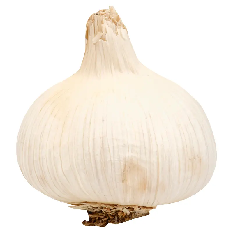 2PK GARLIC