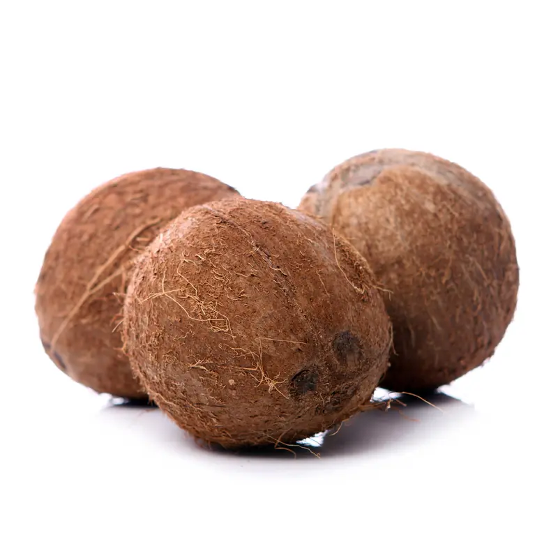 BROWN COCONUT
