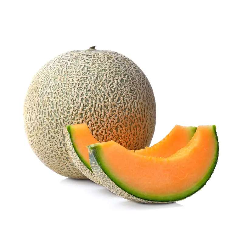 CANTALOUPE
