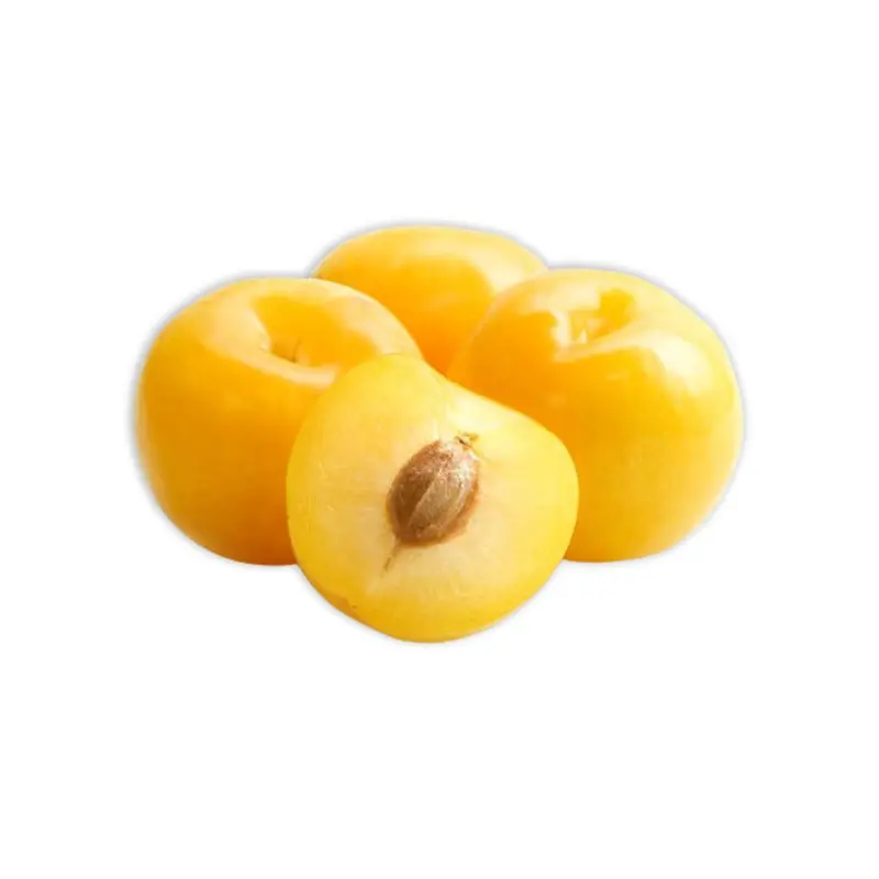 YELLOW PLUM