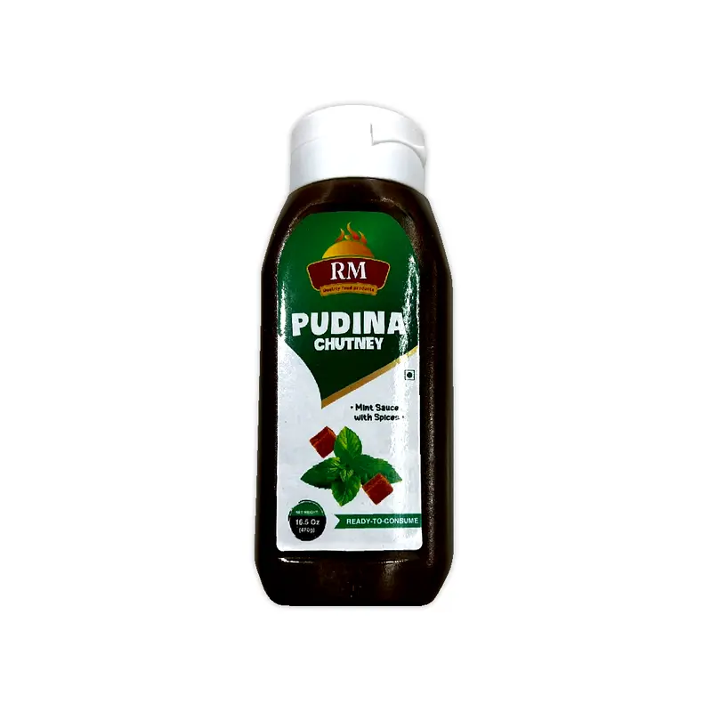 RM PUDINA CHUTNEY