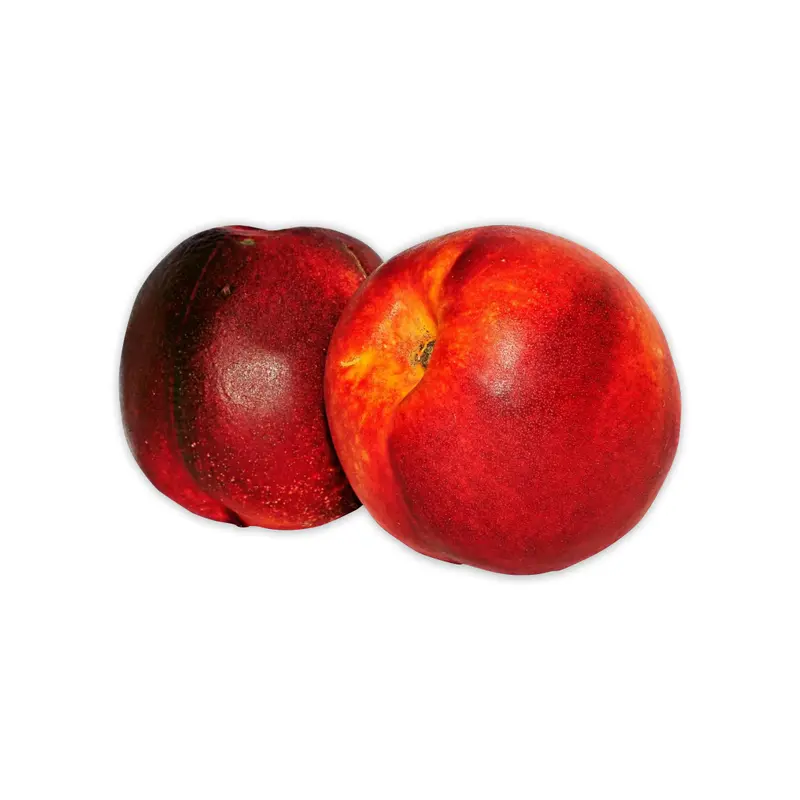 RED NECTARINES
