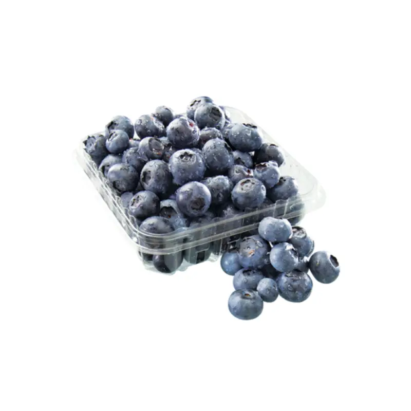ORGANIC BLUEBERRIES