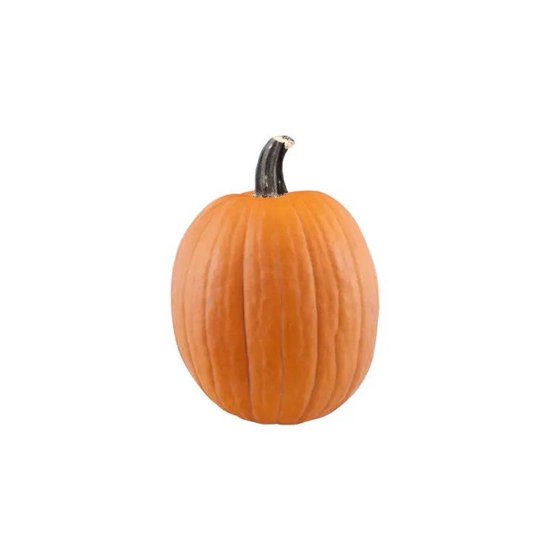 VEGETABLES - PUMPKIN ORANGE SMALL 1EA