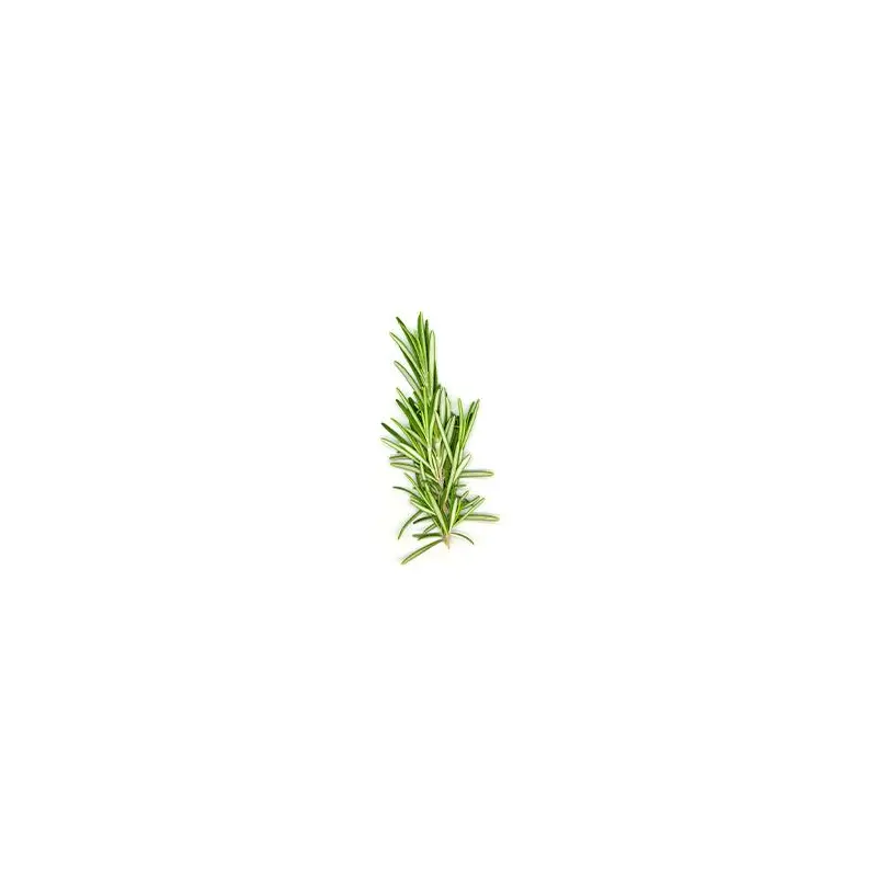 VEGETABLES - ROSEMARY REPACK 3 EA