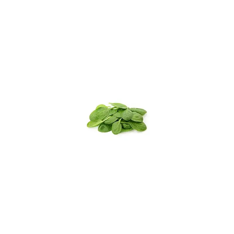 VEGETABLES - SPINACH BABY 11 OZ