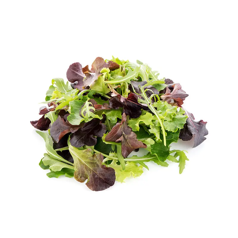 VEGETABLES - SPRING MIX CASE 3 LBS