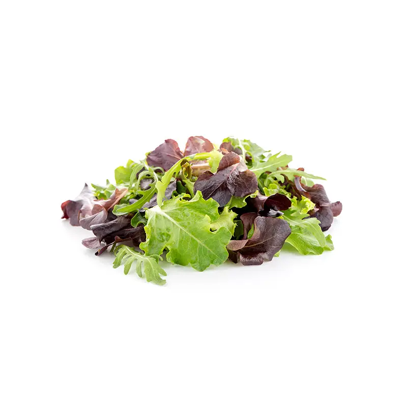 VEGETABLES - SPRING MIX ORGANIC 2 LBS
