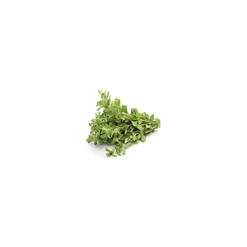 VEGETABLES - THYME GREEN REPACK 3 EA