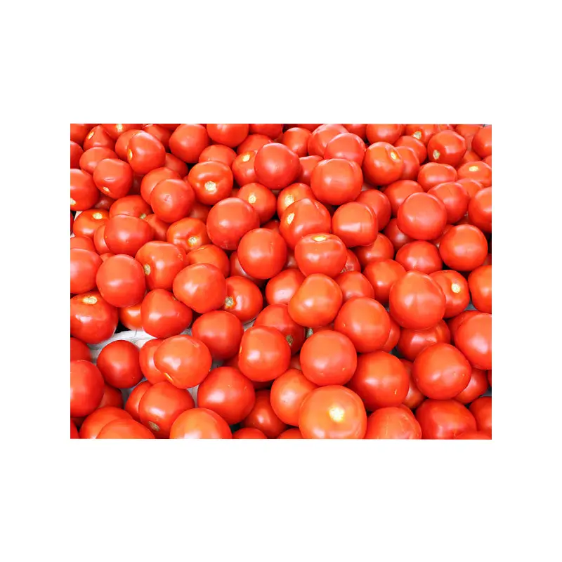 VEGETABLES - TOMATOES 5X6 CASE 25 LBS
