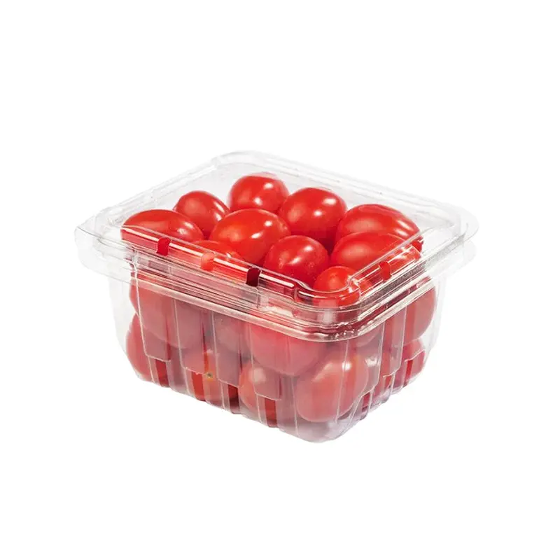 VEGETABLES - TOMATOES GRAPE CASE 12 X 1 PINT