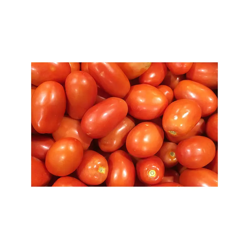 VEGETABLES - TOMATOES REPACK 2.5 LB