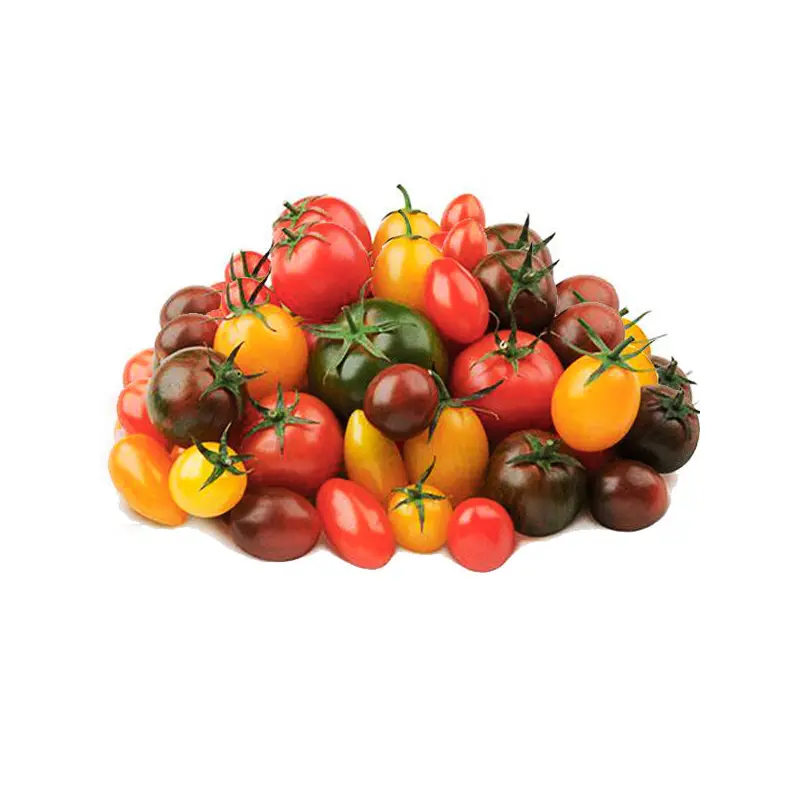 VEGETABLES - TOMATOES SUNSET MEDLEY 341 GR