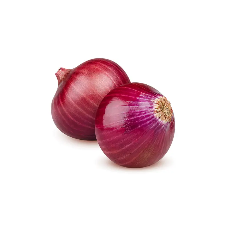 VEGETABLES - ONION RED 10 LBS