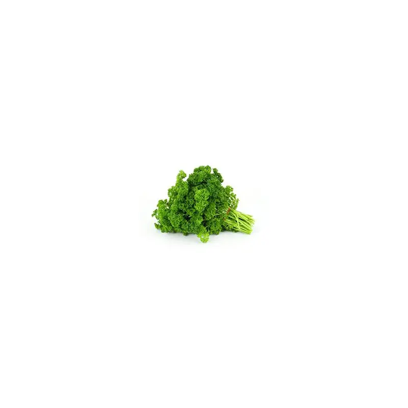 VEGETABLES - PARSLEY CURLY REPACK 3 EA