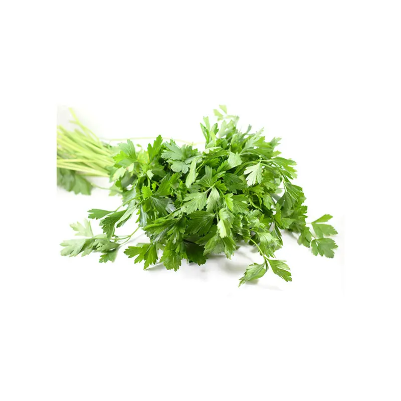 VEGETABLES - PARSLEY ITALIAN CASE 60 EA