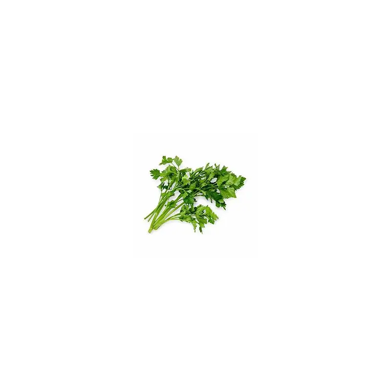 VEGETABLES - PARSLEY ITALIAN REPACK 3 EA