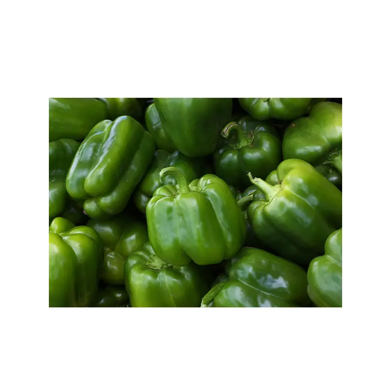 VEGETABLES - PEPPERS GREEN CASE BUSHEL
