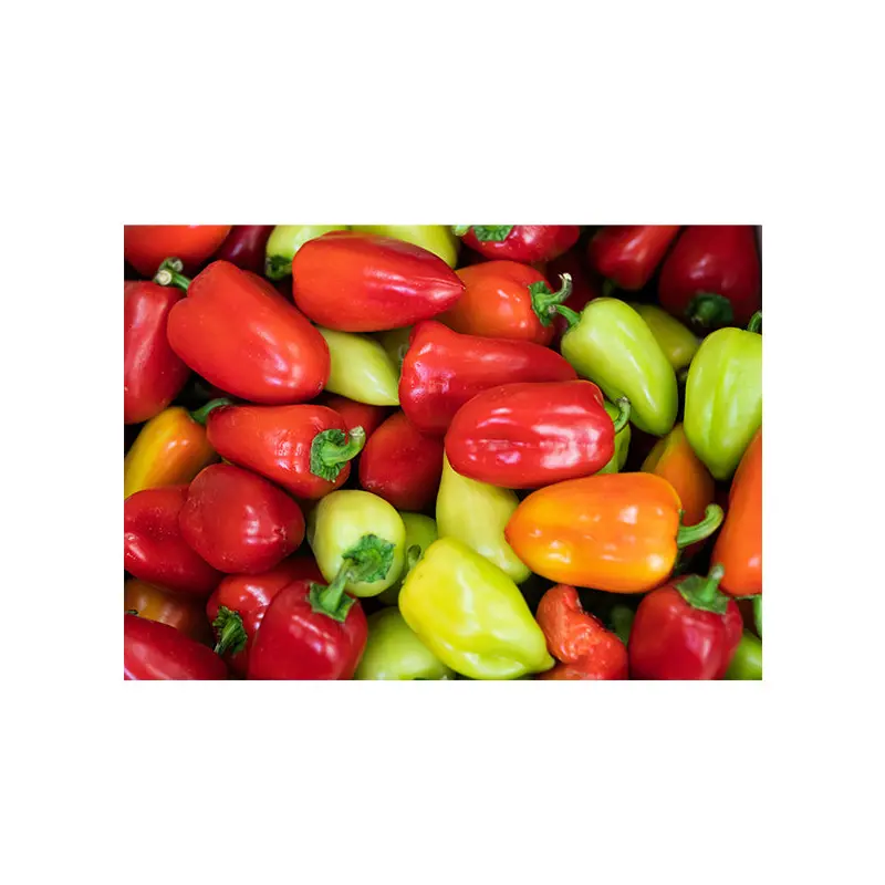 VEGETABLES - PEPPERS JAMAICAN MIX HOT CASE 8 LBS