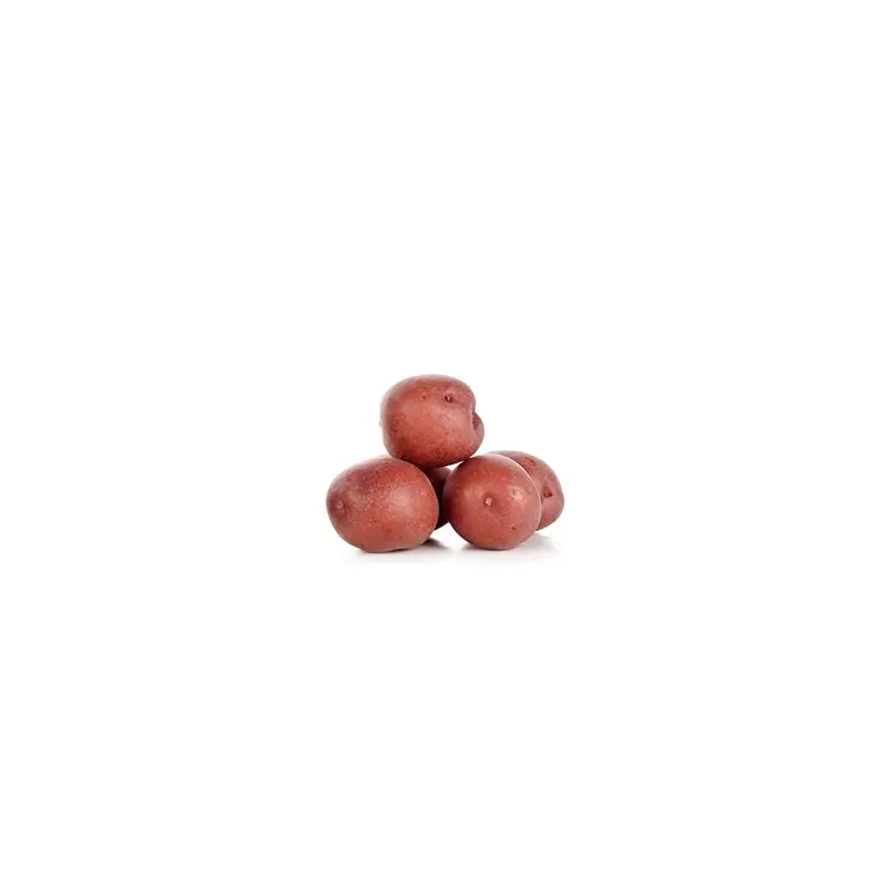 VEGETABLES - POTATOES RED MINI REPACK 5 LBS