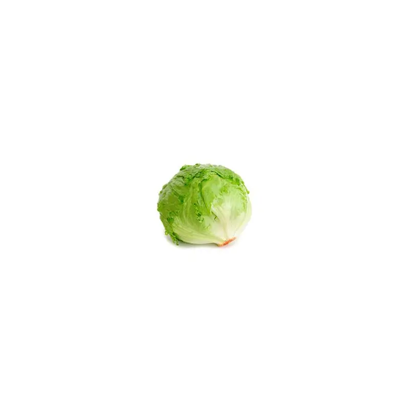 VEGETABLES - LETTUCE ICEBERG REPACK 3 EA