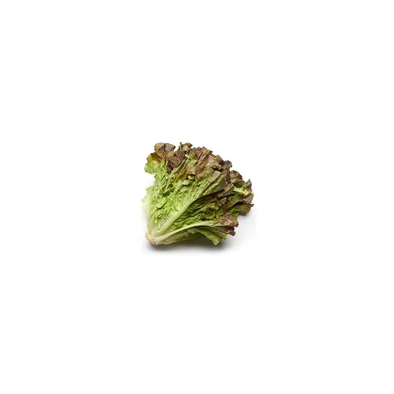 VEGETABLES - LETTUCE RED LEAF  REPACK 3 EA