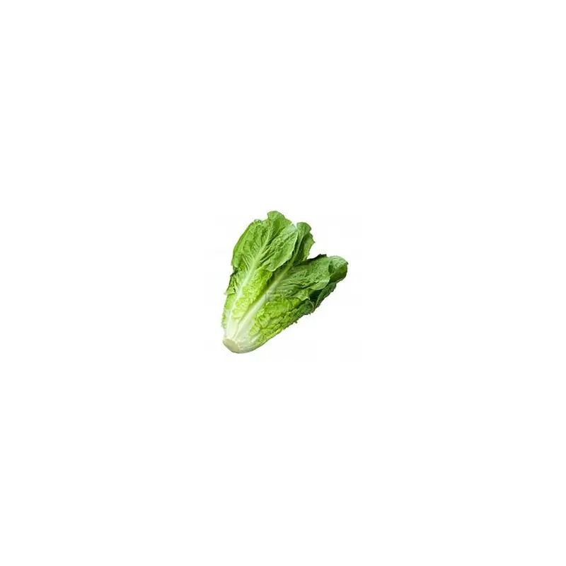 VEGETABLES - LETTUCE ROMAINE 3 EA