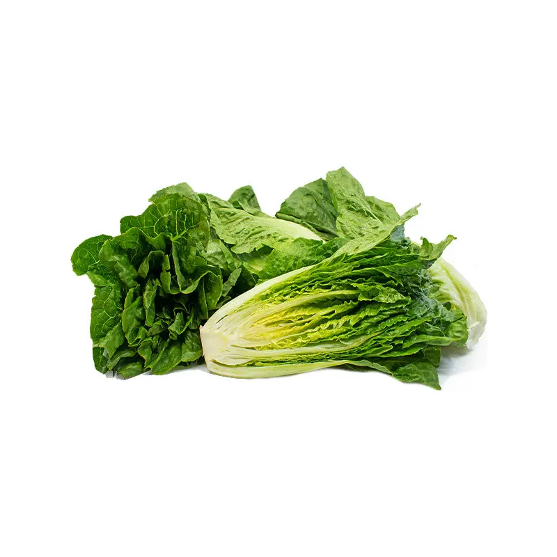 VEGETABLES - LETTUCE ROMAINE CASE 24 EA