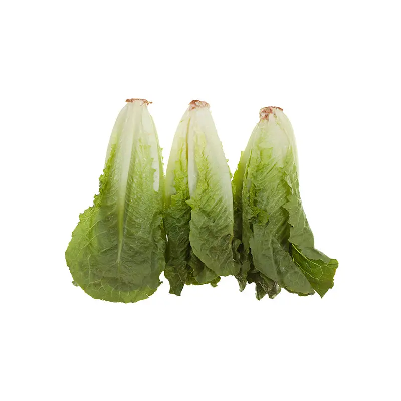 VEGETABLES - LETTUCE ROMAINE HEARTS BAG 6 EA