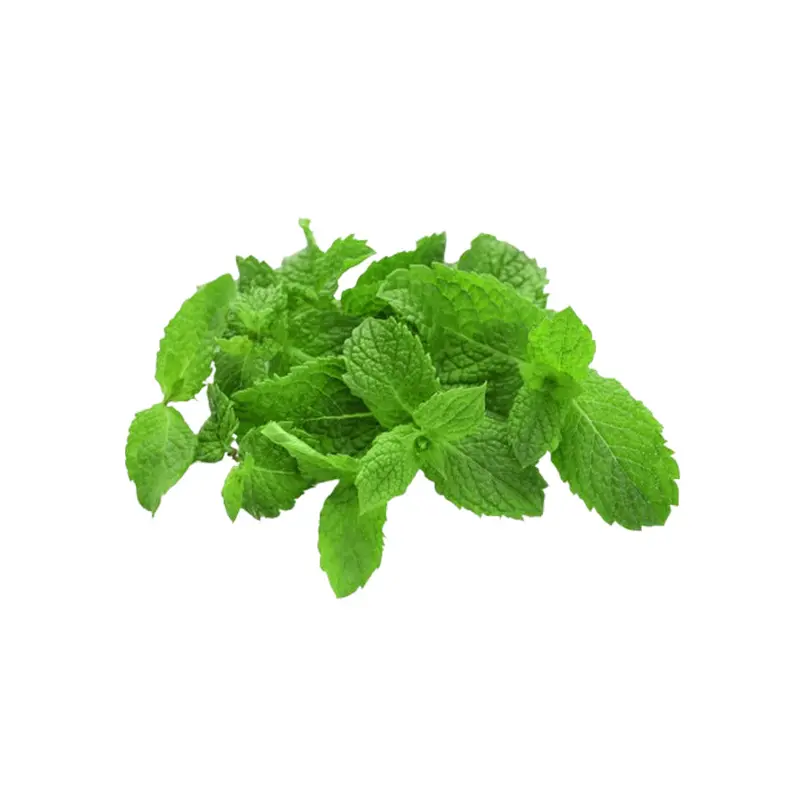 VEGETABLES - MINT HERB 12 EA