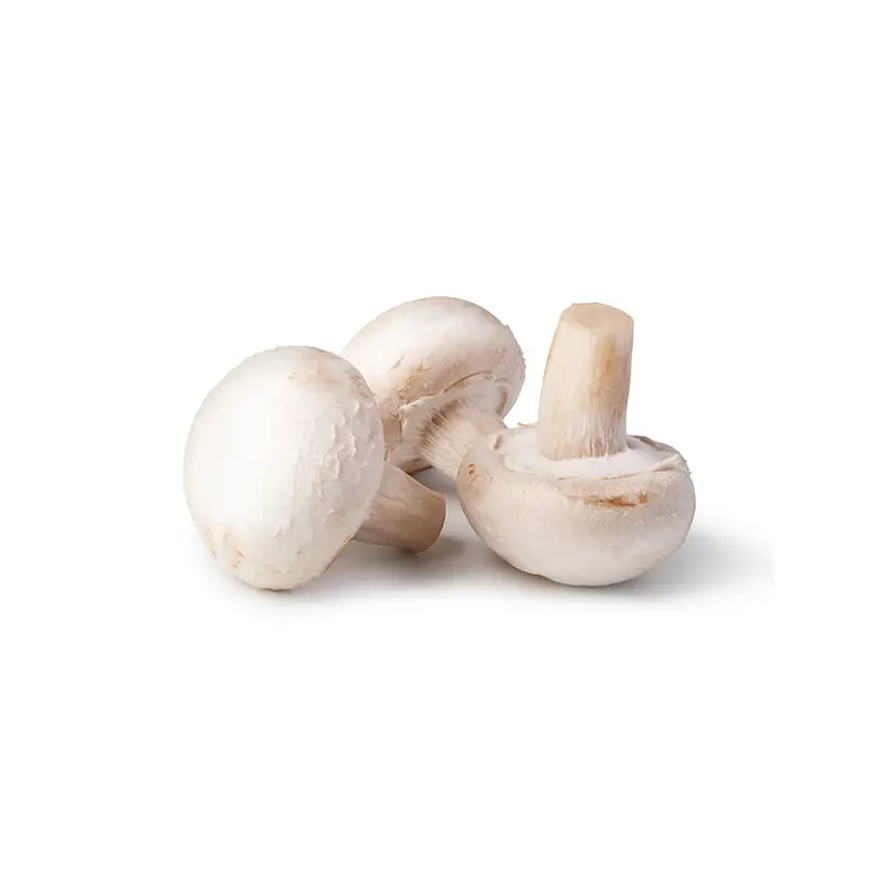 VEGETABLES - MUSHROOMS # 1 BULK 454 G