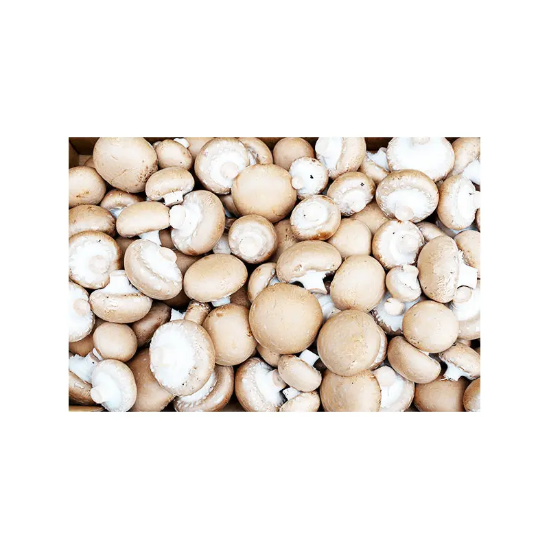 VEGETABLES - MUSHROOMS # 1 BULK 5 LBS