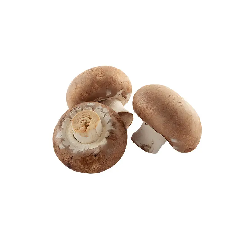 VEGETABLES - MUSHROOMS BROWN BULK 5 LBS