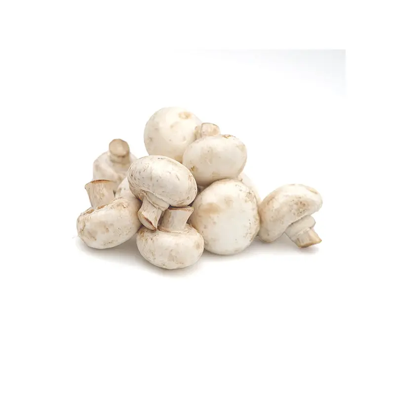 VEGETABLES - MUSHROOMS BUTTON 5 LBS